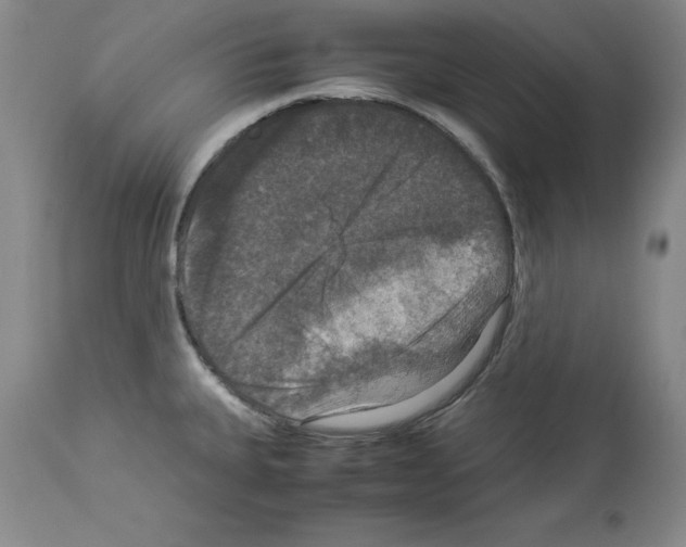 X0000113951335200911061255