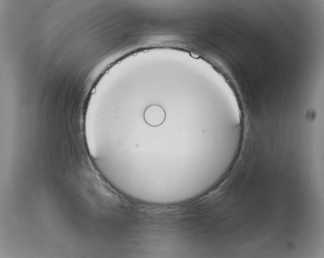 X0000113951336200911061255