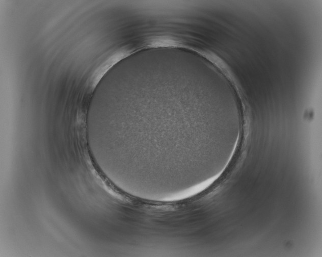 X0000113951337200911061255