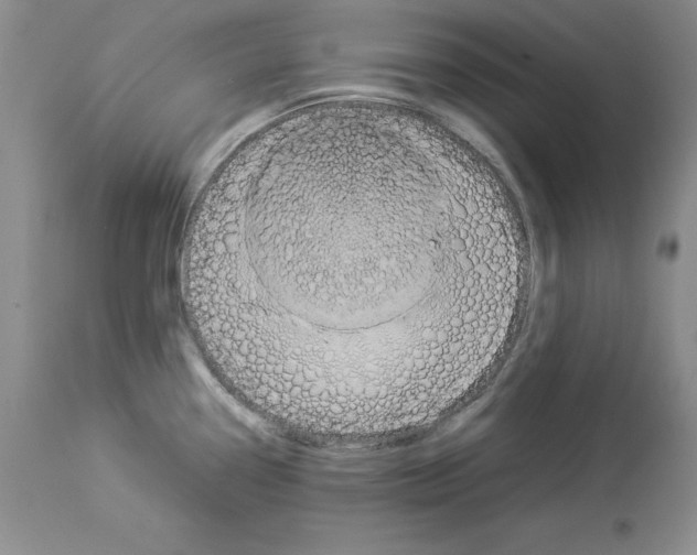 X0000113951338200911061255