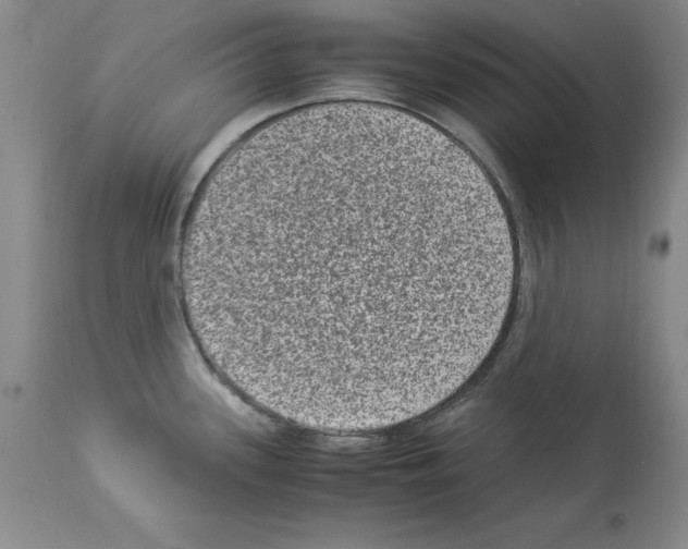 X0000113951339200911061255