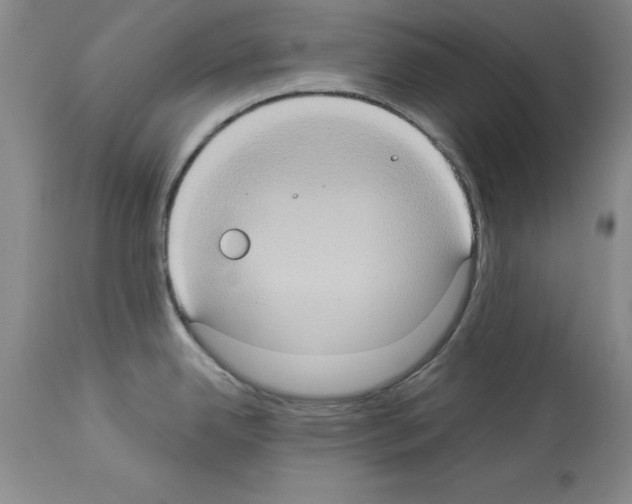X0000113951342200911061255