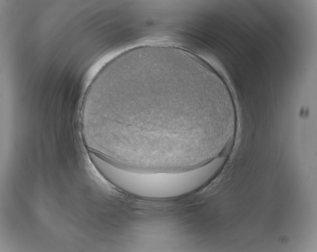 X0000113951344200911061255