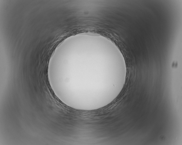 X0000113951345200911061254