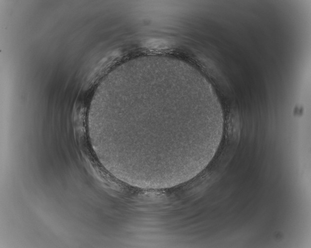 X0000113951346200911061254