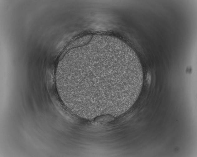 X0000113951348200911061254
