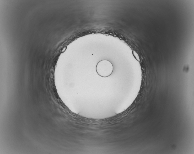X0000113951349200911061254