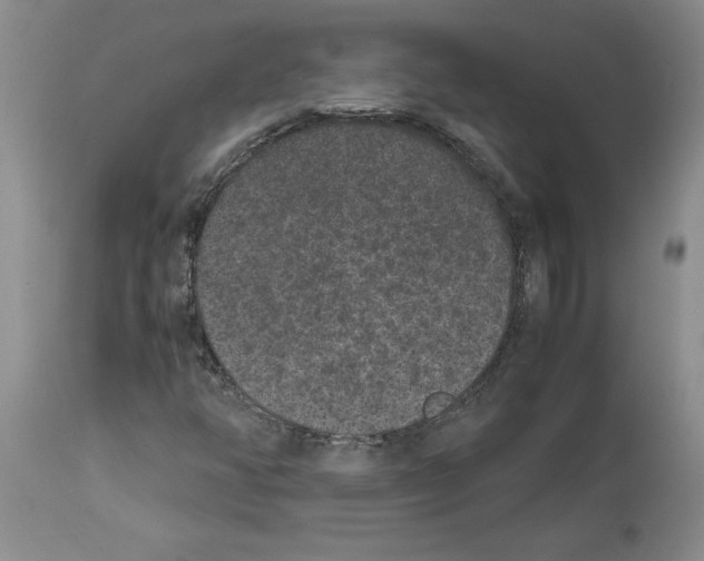 X0000113951350200911061254