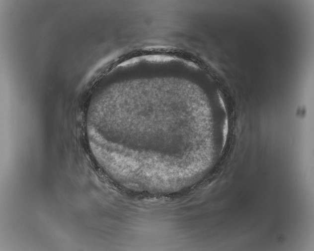 X0000113951351200911061254