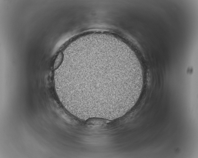 X0000113951352200911061254