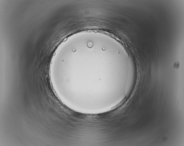 X0000113951353200911061254