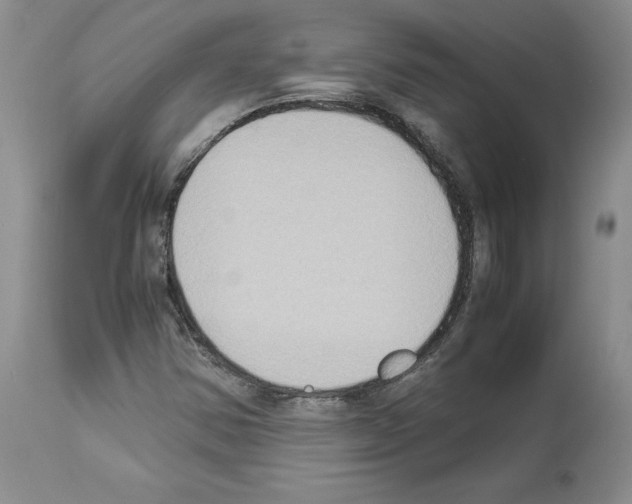 X0000113951354200911061254