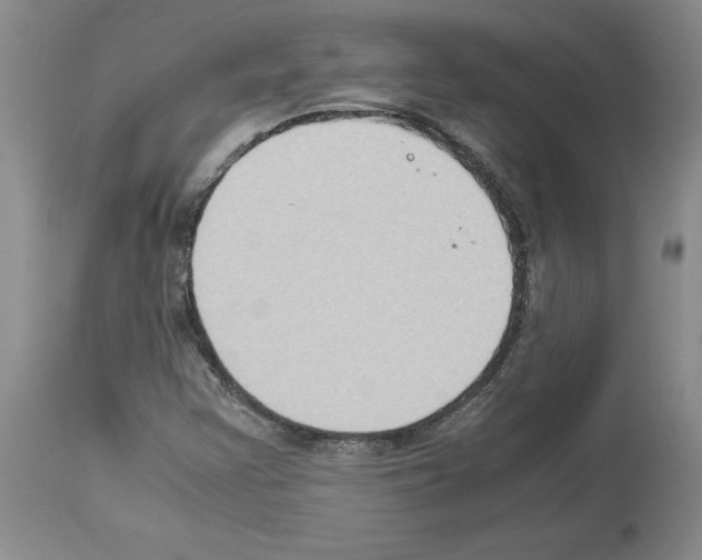 X0000113951355200911061254