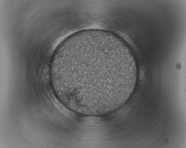 X0000113951356200911061254