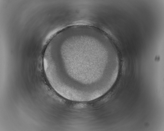 X0000113951358200911061254