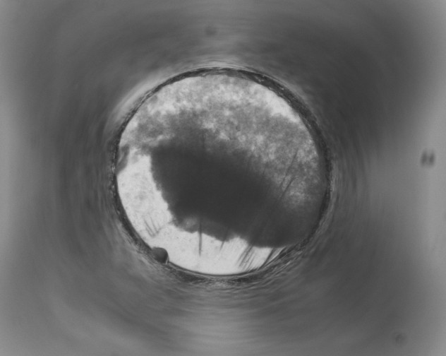 X0000113951359200911061254