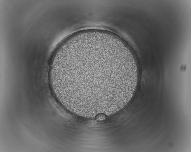 X0000113951360200911061254