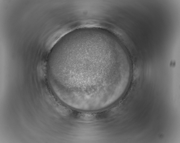 X0000113951361200911061254