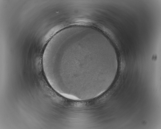 X0000113951362200911061254