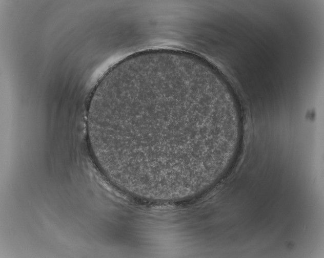 X0000113951363200911061254