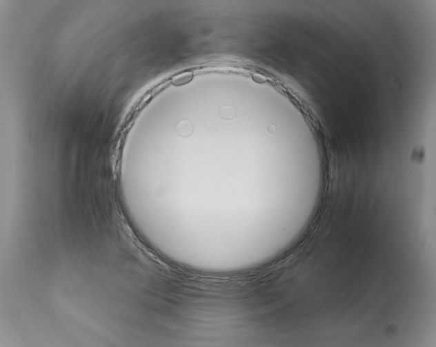 X0000113951364200911061254