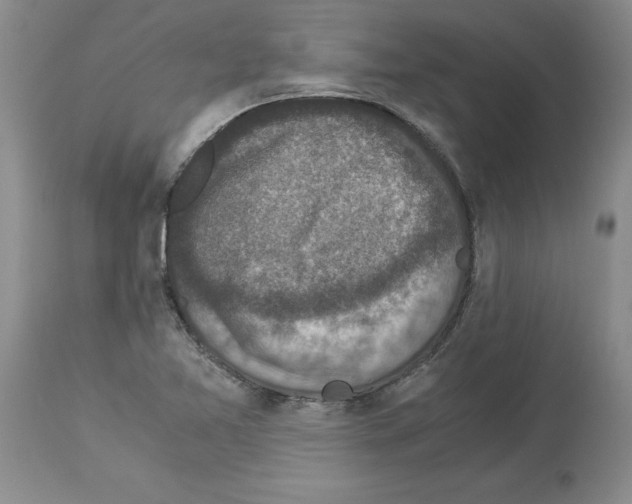 X0000113951365200911061254
