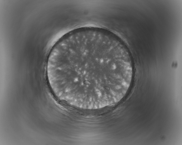 X0000113951367200911061254