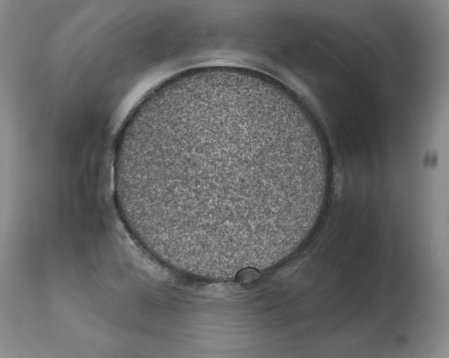 X0000113951368200911061254