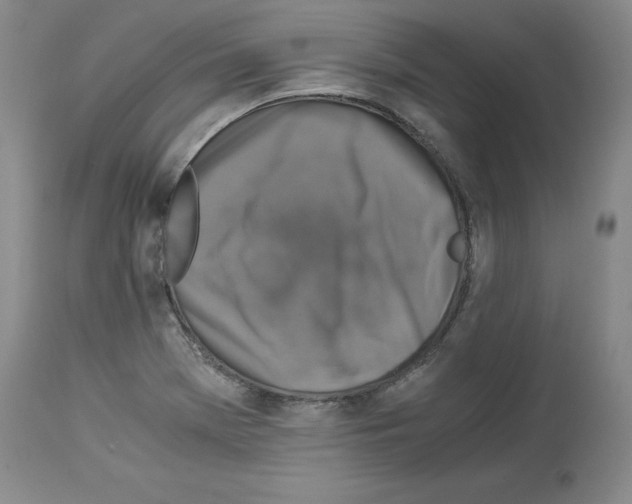 X0000113951369200911061254