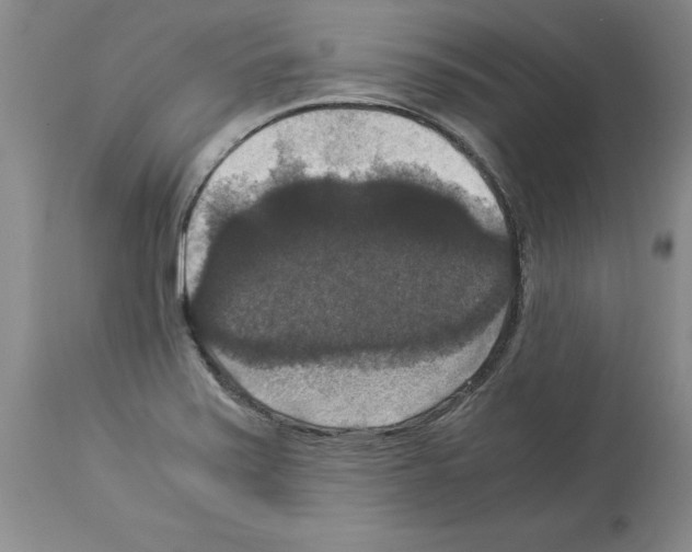X0000113951371200911061254