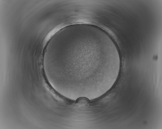 X0000113951373200911061254