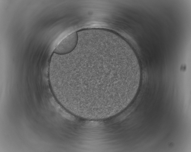 X0000113951374200911061254