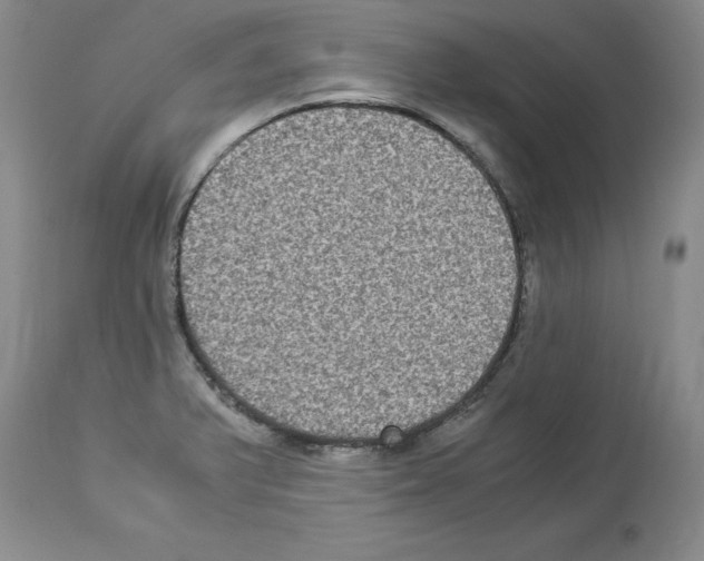 X0000113951375200911061254
