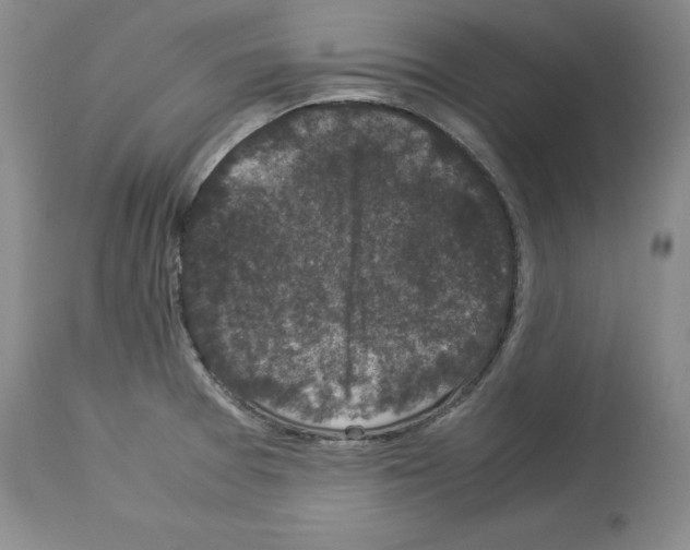 X0000113951377200911061254