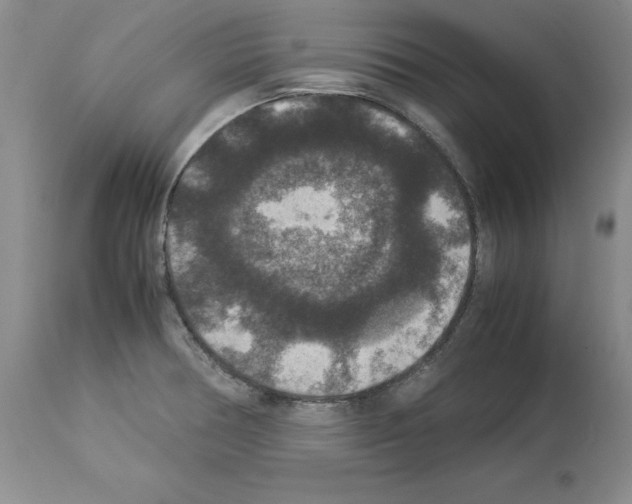X0000113951378200911061254