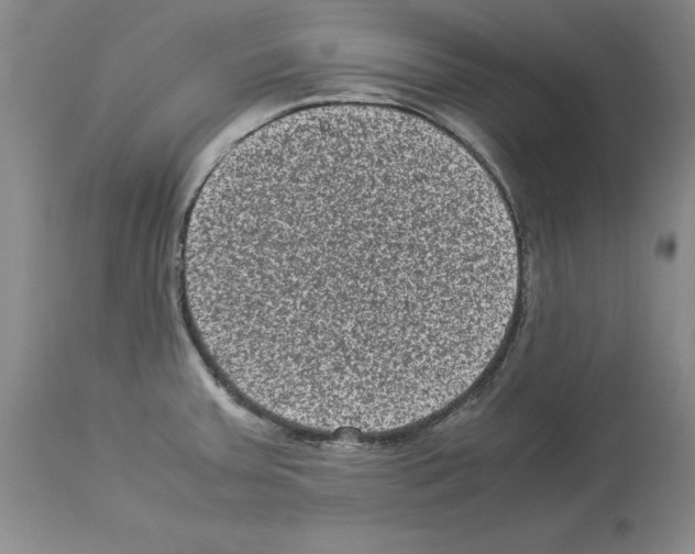 X0000113951379200911061254