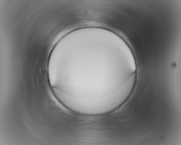 X0000113951381200911061254