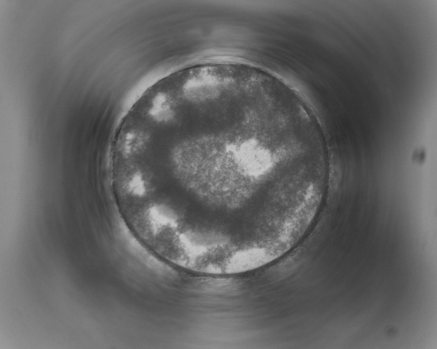 X0000113951382200911061254