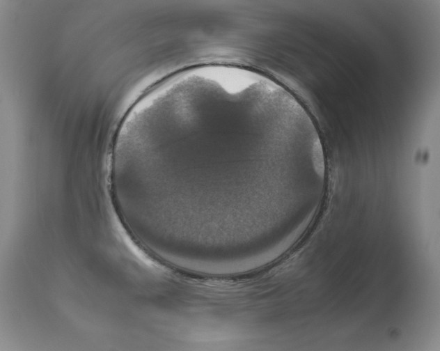 X0000113951383200911061254