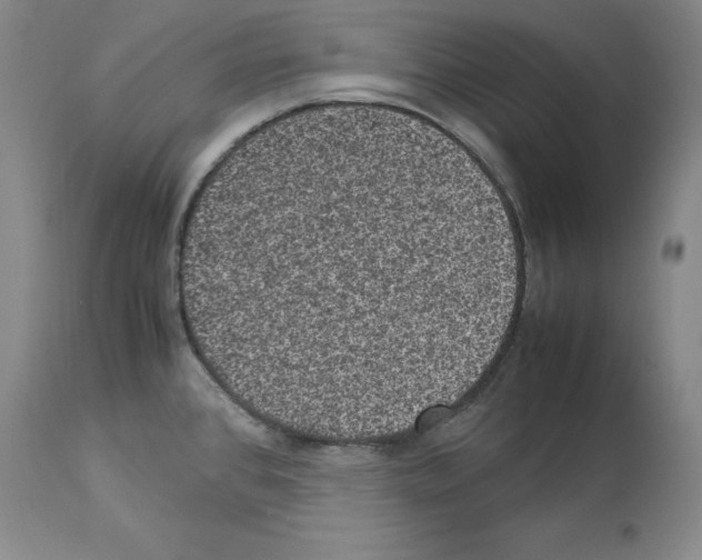 X0000113951384200911061254