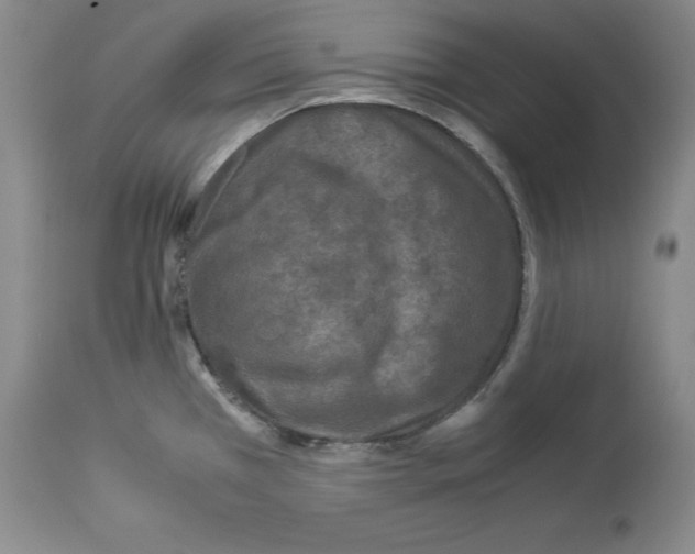 X0000113951385200911061254