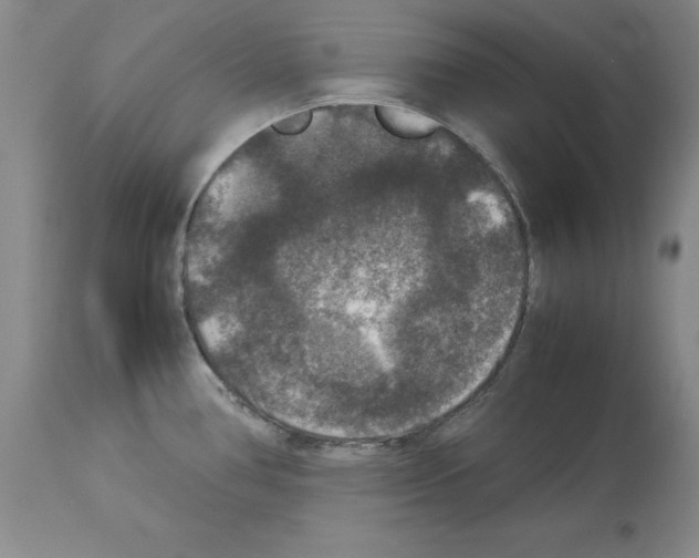 X0000113951386200911061254