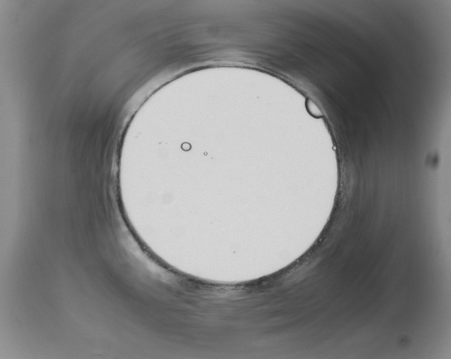 X0000113951387200911061254