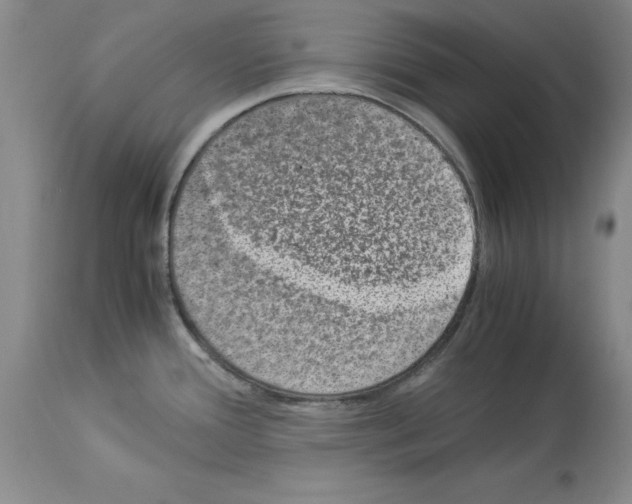 X0000113951388200911061254