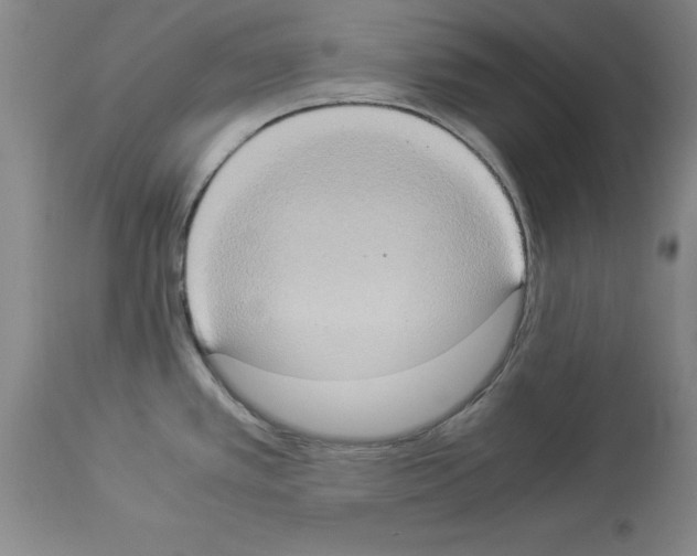 X0000113951389200911061254