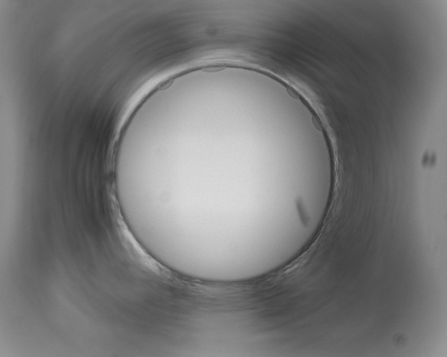 X0000113951392200911061254