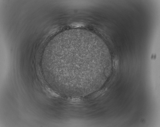 X0000113951393200911061253