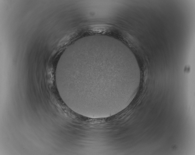 X0000113951394200911061253