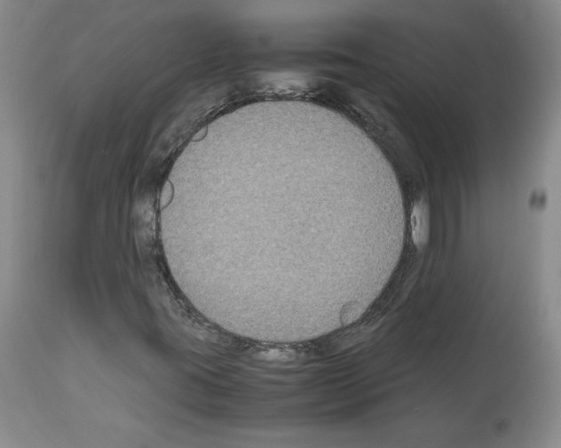 X0000113951395200911061253