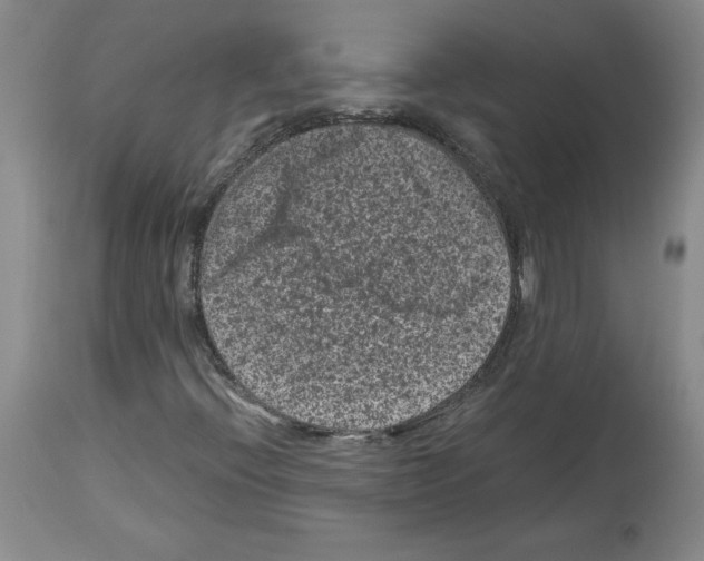 X0000113951396200911061253